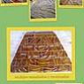 collage_campana 2