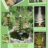fuente3