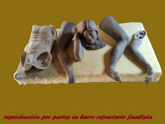 Reproducción por partes en barro refractario finalista