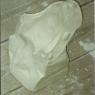 mol. rana 3