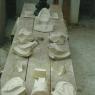mol. rana 5