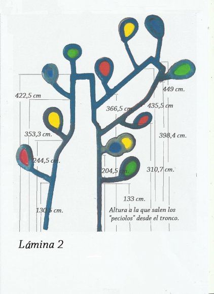 Lámina - altura de los peciolos